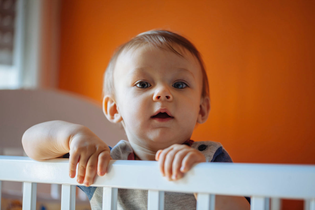 Toddler Jumping Out of Cot Nurture Parenting Shop