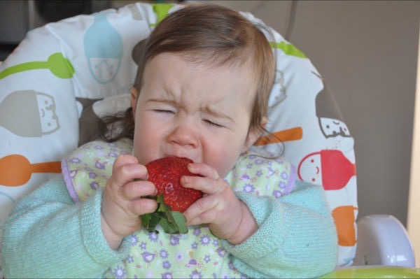 How to make baby food purees - 4-6 month – Nurture Parenting Shop