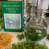 herbal eczema balm